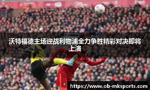 mk体育官网